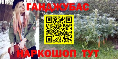 apvp Пугачёв