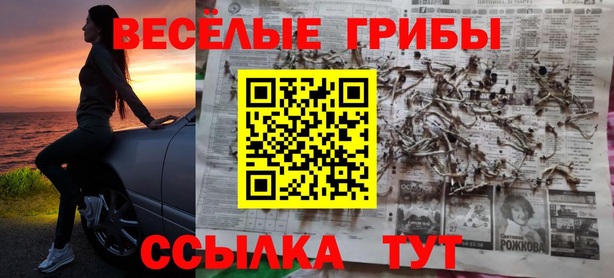 Галлюциногенные грибы Magic Shrooms Прохладный