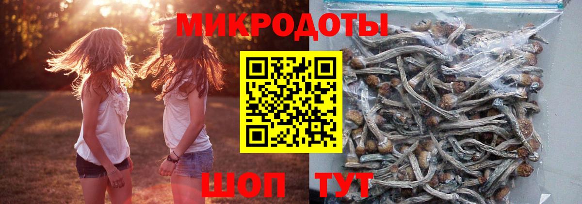 Псилоцибиновые грибы Psilocybine cubensis  Галлюциногенные грибы GOLDEN TEACHER  Вход с VPN  купить  цена  Прохладный 
