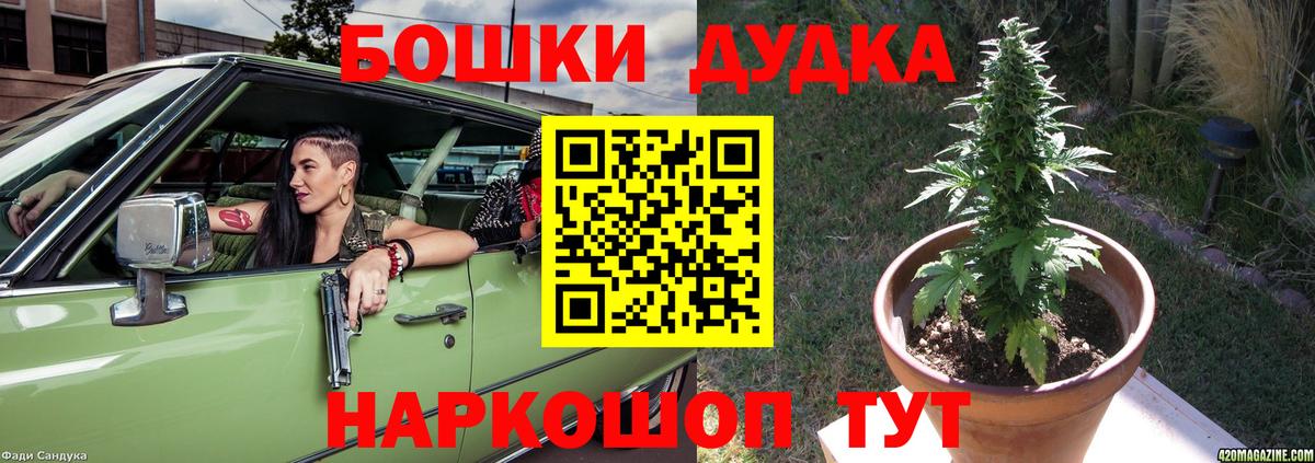 Конопля Amnesia  Вход с VPN  Бошки Шишки AK-47  Прохладный 
